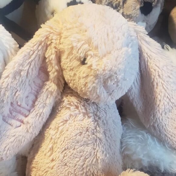 Jellycat Plush Lot 40 New and LOVED BEFORE INCLUDING RARE BUNGLIE MOUSE - Picture 15 of 16